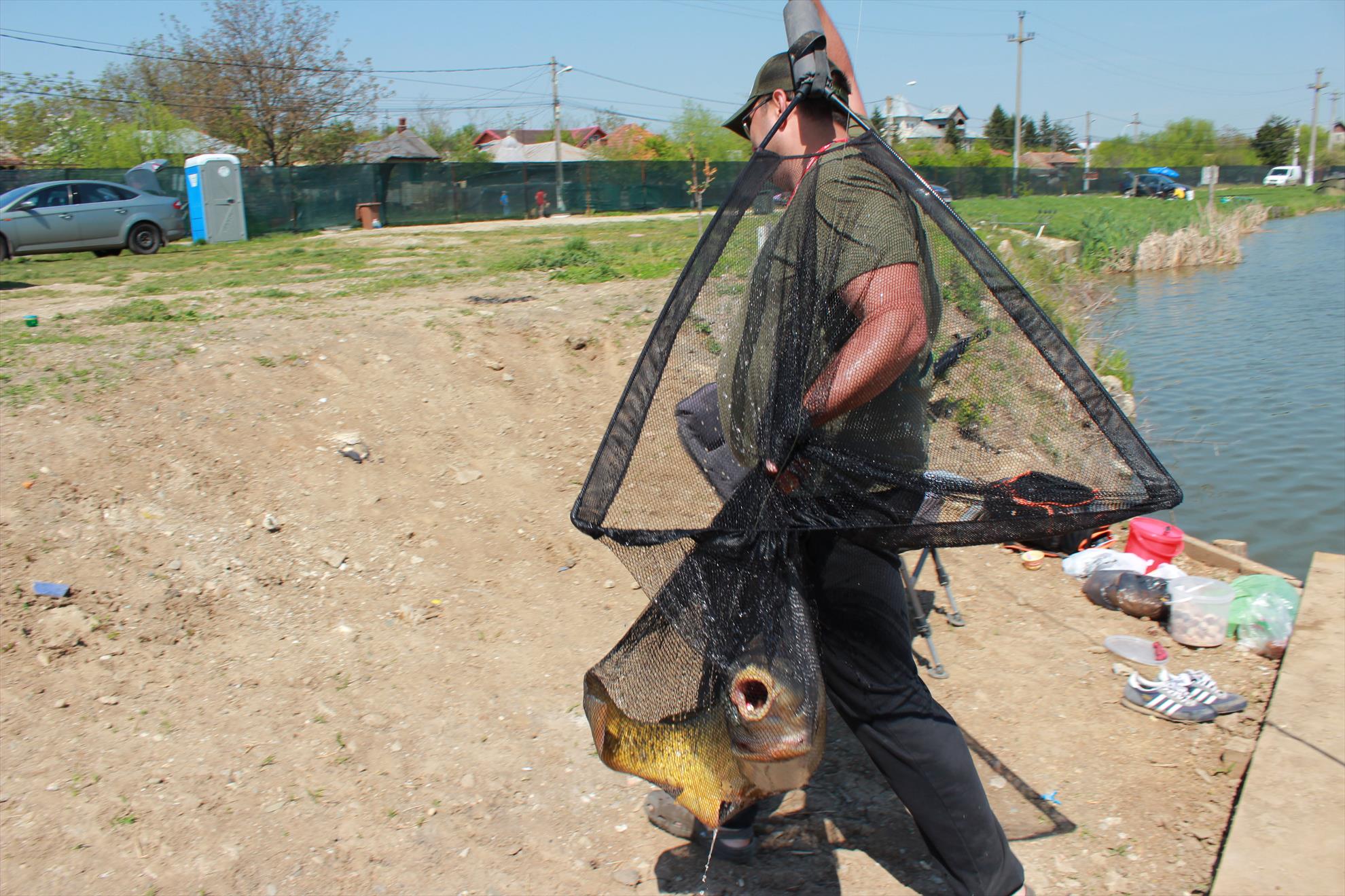 Hermes Peris 25 - 26 aprilie 2015 - img8511.JPG